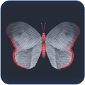 Butterfly Effect Venus - Andrea Crespi