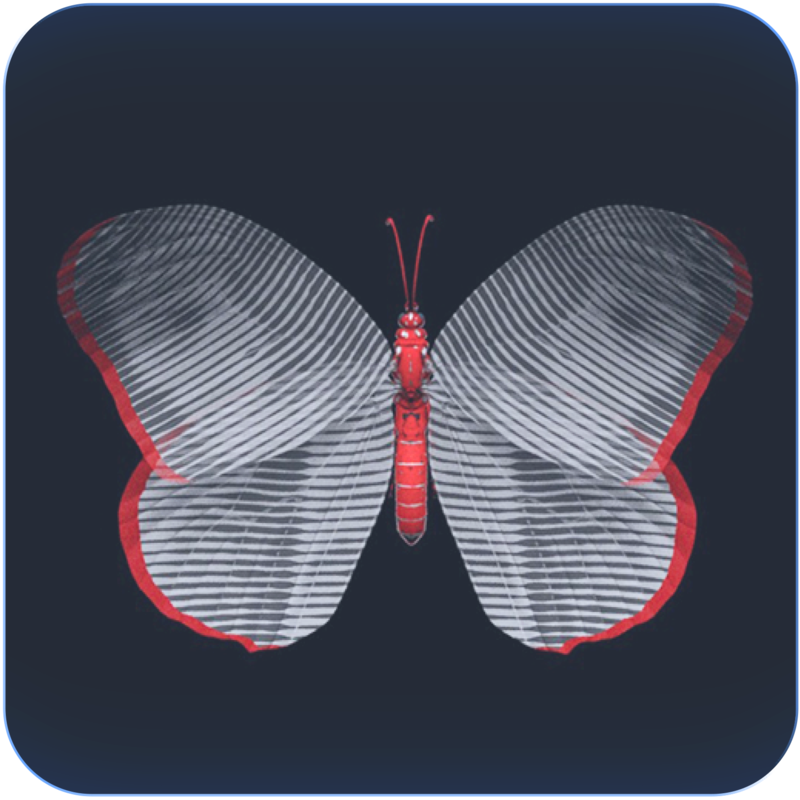 Butterfly Effect Venus - Andrea Crespi