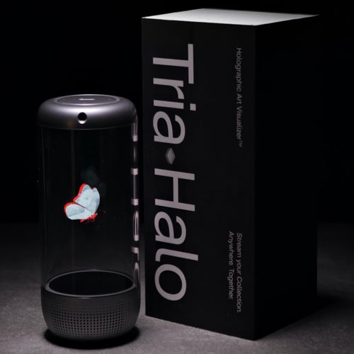 Butterfly Effect Venus - Andrea Crespi