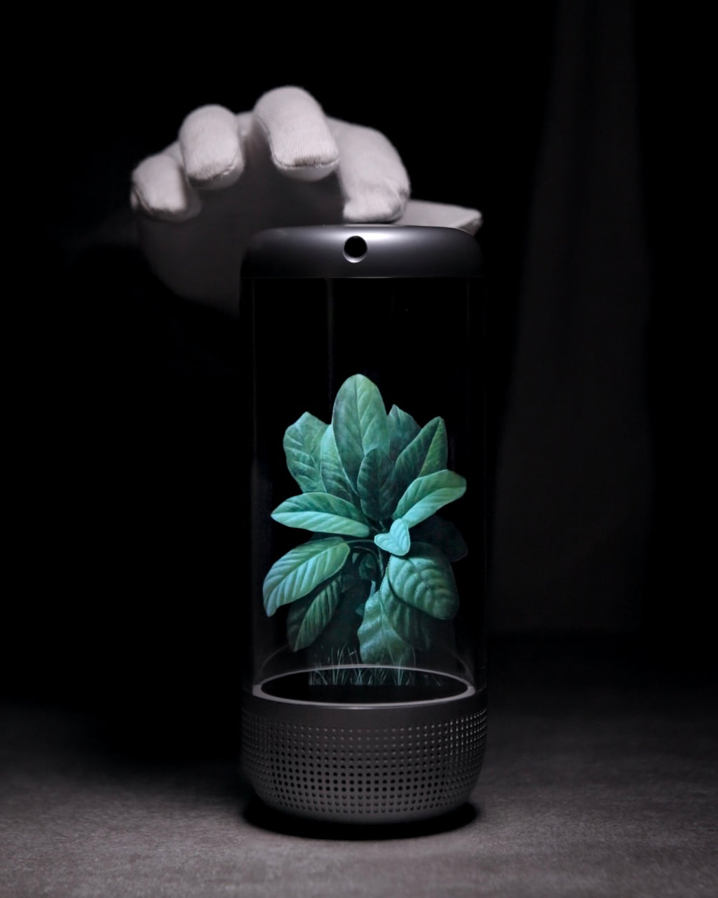 Tria Halo - Holographic Art Visualizer