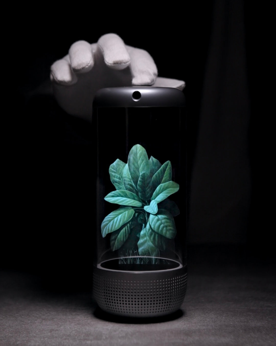 Tria Halo - Holographic Art Visualizer