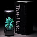Tria Halo™ - Holographic Art Visualizer