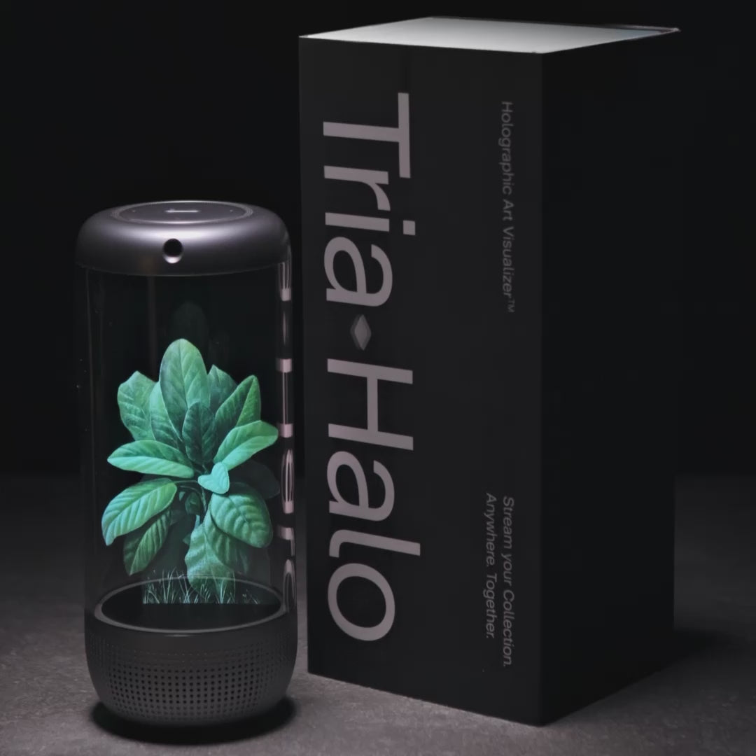 Germoglio - Vanni Cuoghi